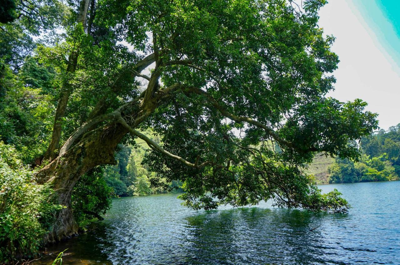 Lake Nyamirima Cottages Fort Portal ภายนอก รูปภาพ